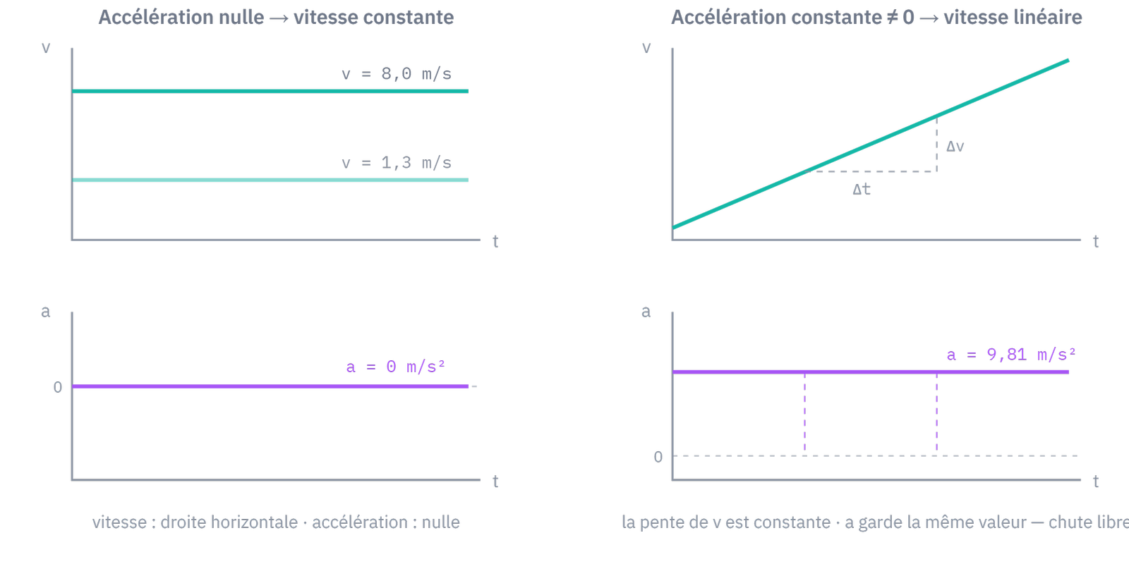 Les deux propriétés sur la courbe de vitesse : accélération nulle → vitesse constante (droite horizontale, à n'importe quelle hauteur) ; accélération constante et non nulle → vitesse qui croît linéairement (droite montante).