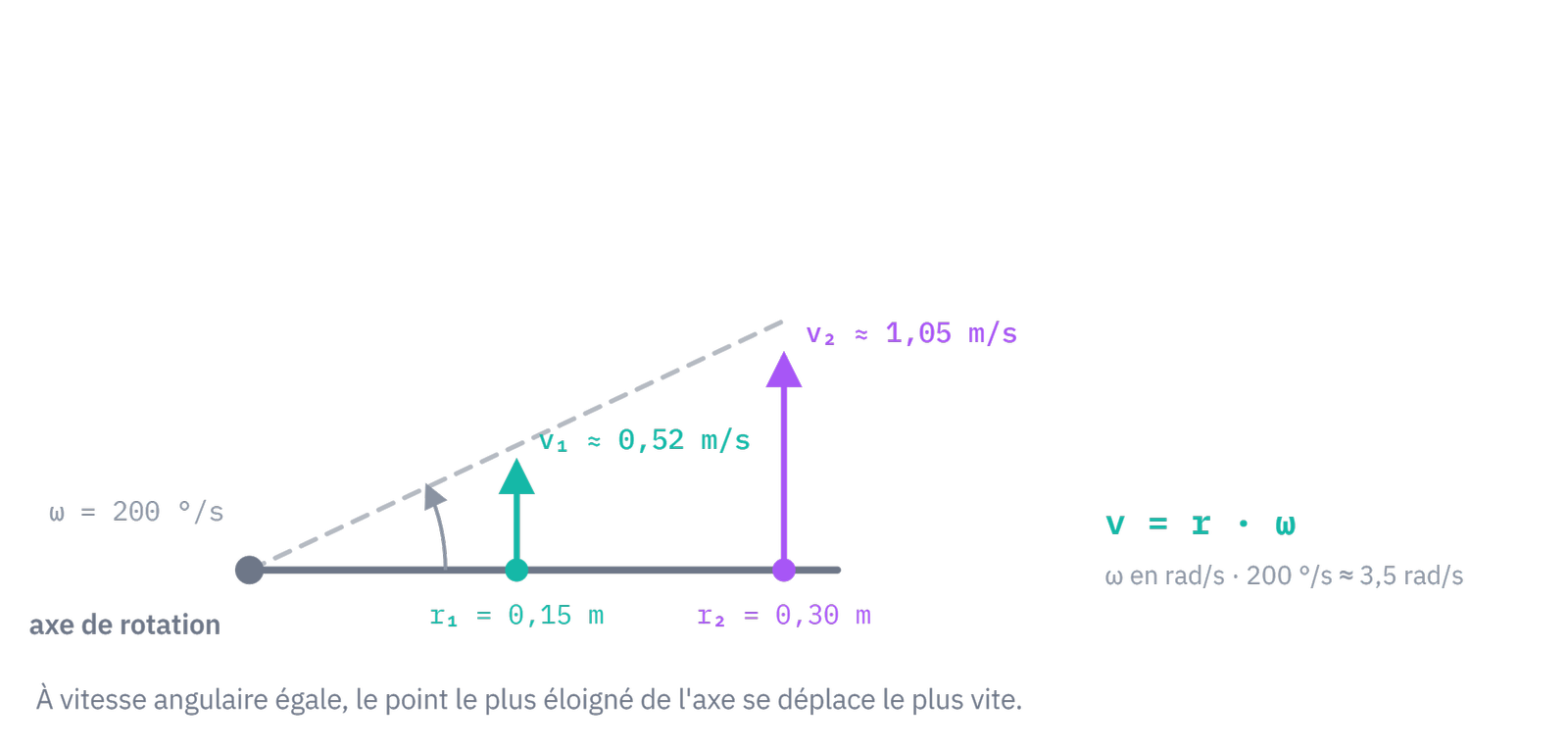 De la rotation à la vitesse linéaire : à vitesse angulaire ω égale, le point le plus éloigné de l'axe se déplace le plus vite (v = r · ω).