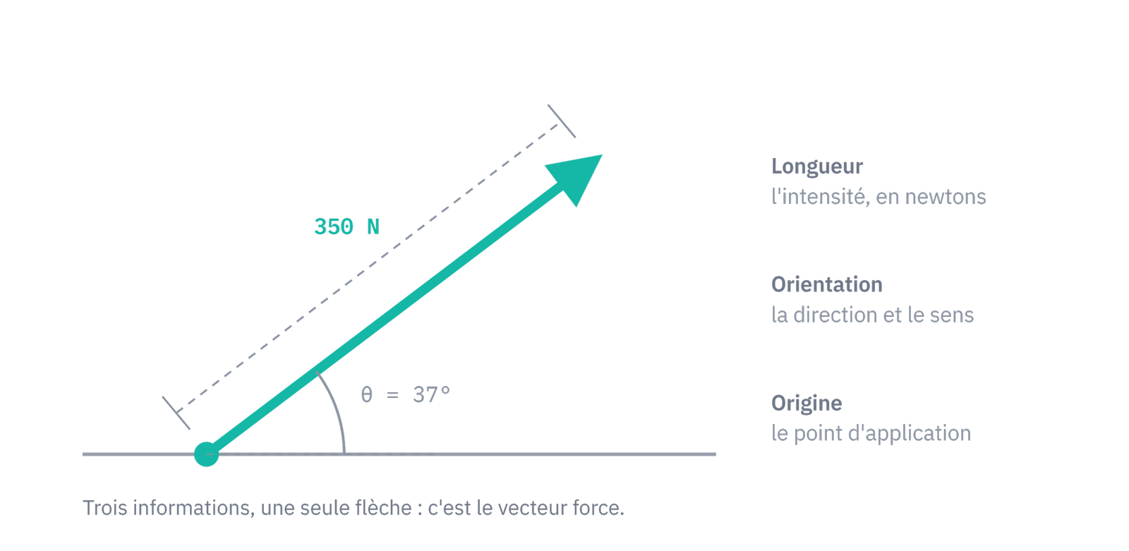 La flèche du vecteur force et ses trois lectures : origine (point d'application), orientation (direction et sens), longueur (intensité).