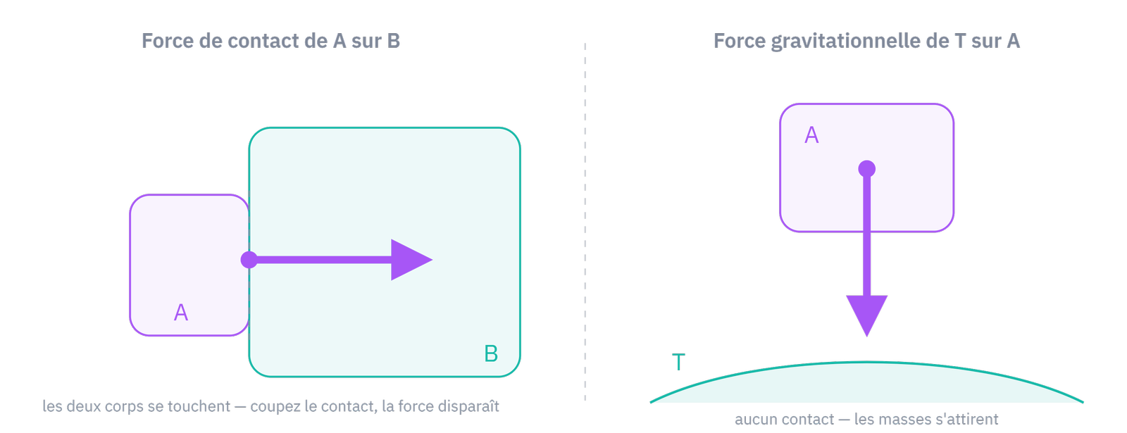 Les deux familles : forces de contact (le contact rompu, la force disparaît) et force à distance (les masses s'attirent sans se toucher).