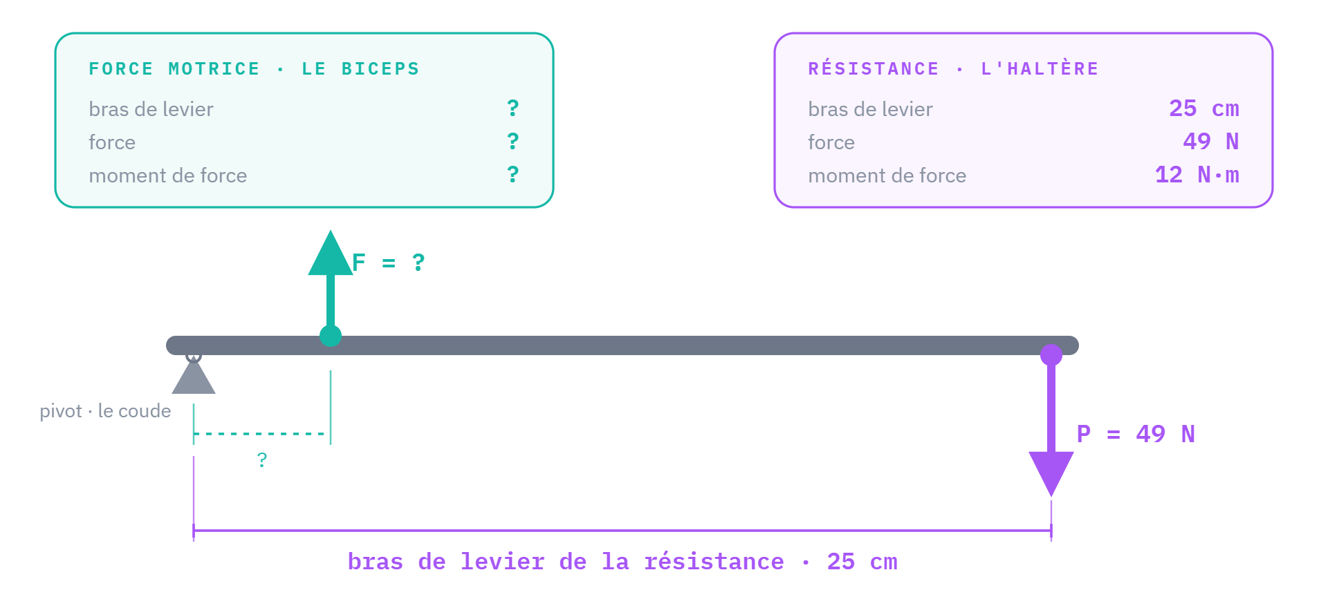 Le levier du coude : pivot au coude, résistance renseignée (25 cm, 49 N, 12 N·m), force motrice encore inconnue.