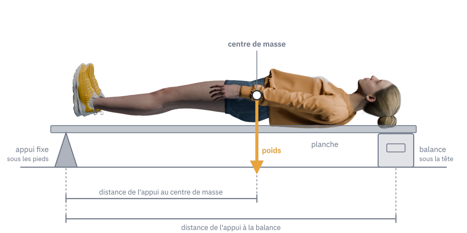 La méthode de la planche, de profil : la planche, l'appui sous la plante des pieds, la balance sous la tête, la flèche du poids au centre de masse, et les distances de l'appui au centre de masse et de l'appui à la balance. (Schéma hors diaporama.)